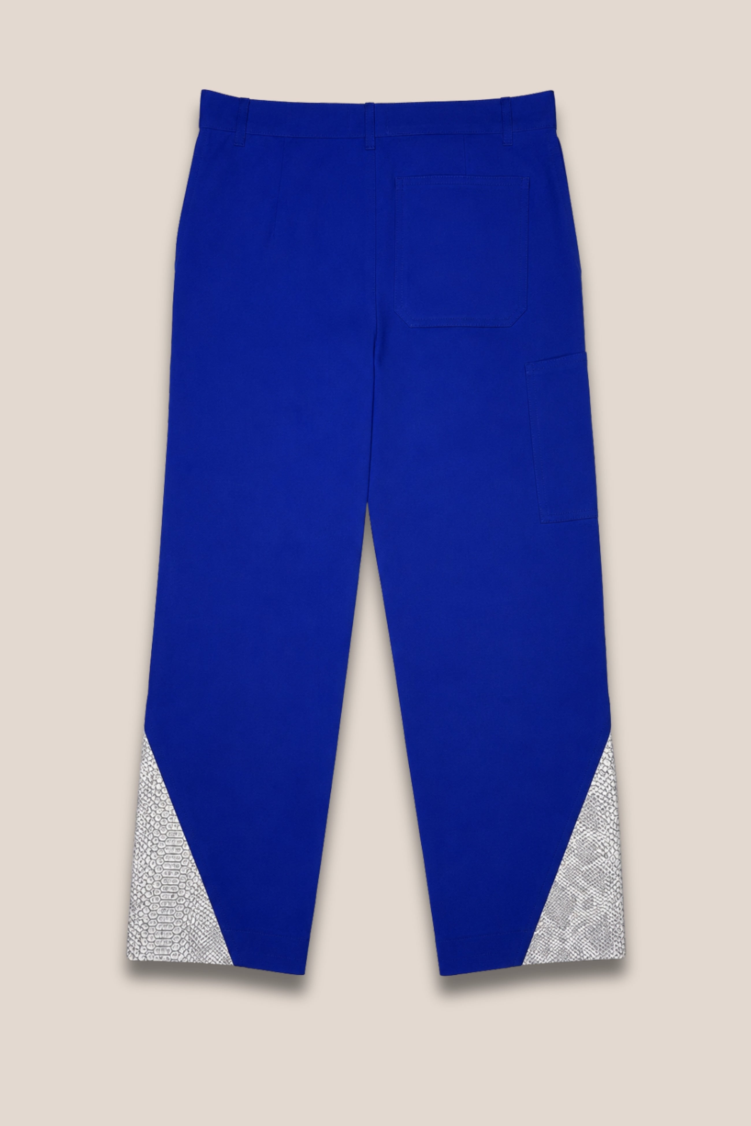 Pantalon Bleu de travail et Python