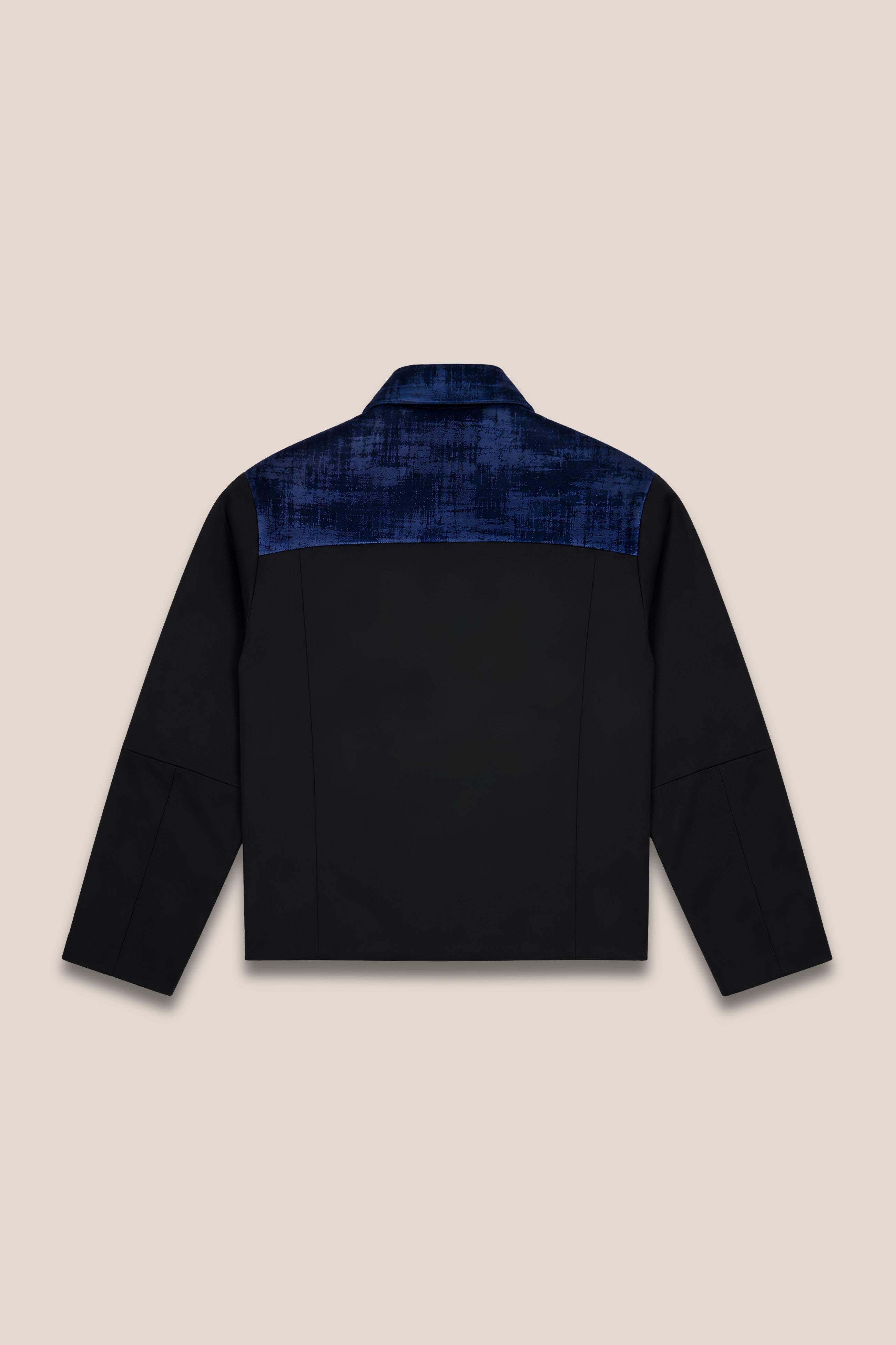 Veste zippée bicolore bleu - dos